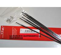FULCRUM RAGGI RED METAL POSTERIORE DESTRO 26_"