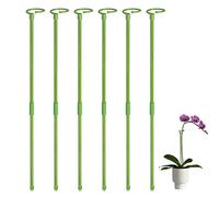 Fulenyi Confezione da 6 piante da appartamento da 80 cm, supporto rotondo per piante e fiori alti, supporto per piante e piante alte | Monstera per giardino | bacchette per piante per orchidee,