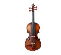 Full Size 4/4 Violino Acustico Violino Cordiera In Legno Di Pero Pioli Brazilwood Bow Bridge Custodia Studente Violino Accessori Kit