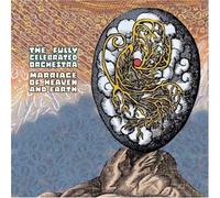 Fully Celebrated Orchestra Marriage Of Heaven and Earth (CD)