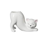 Fumetto fatto a mano Ceramica Carne Pianta Contenitore Fioriera Regalo Fiore Contenitore Per Interno Giardino Scrivania Decorazione Carino Gattino Coda