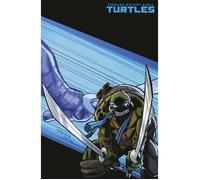 Fumetto: Teenage Mutant Ninja Turtles 6 (Variant Cover by Khary Randolph) - Pani
