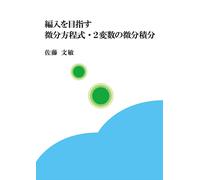 Fumitoshi Sato Differential Equations/Two-Variable Differential And (Tascabile)