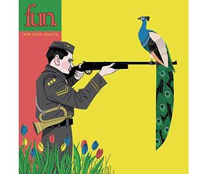 Fun - Aim And Ignite