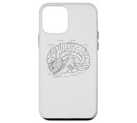 Fun Brain Anatomy Psych Neuroscienze Parti della scienza del cervello Custodia per iPhone 12 mini