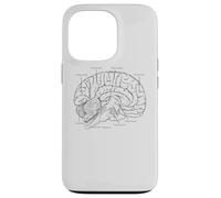 Fun Brain Anatomy Psych Neuroscienze Parti della scienza del cervello Custodia per iPhone 13 Pro