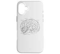 Fun Brain Anatomy Psych Neuroscienze Parti della scienza del cervello Custodia per iPhone 16 Plus