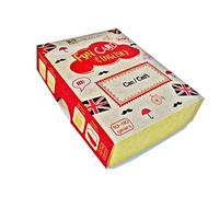 Fun Card English CAN/CAN'T (Grammar and Vocabulary Flashcards + Exciting Game)