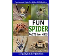 Fun Spider Facts For Kids