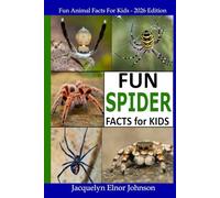 Fun Spider Facts For Kids