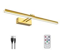 FUNCHDAY Luce per quadri, luci artistiche a batteria per parete, luce per pittura a distanza senza fili con timer e dimmerabile, illuminazione display in metallo da 50,8 cm, per opere d'arte, ritratti