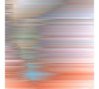 Function - Awakening From The Illusory Self (12")