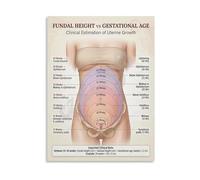 Fundal Height Chart Gestational Age Poster Uterine Growth Measurement Guide Educational Medical Wall Art Canvas Painting for OB GYN(Framed,16x24inch(40x60cm))