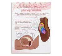 Fundal Height Measurement Chart Pregnancy Progress Guide Poster for Midwife Gift Expecting Mothers Nursery Room Wall Decor(Unframed,08x12inch(20x30cm))