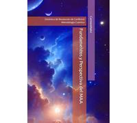 Fundamentos y Perspectiva del MAA: Dinámica de Resolución de Conflictos