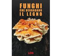 Funghi che degradano il legno. Dinamiche di azione e conseguenze per gli alberi in ambiente forestale e urbano