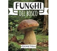 Funghi del bosco