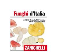 Funghi d'Italia
