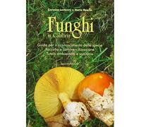 Funghi in Calabria. Guida per il riconoscimento delle specie, raccolta e commercializzazione, tutela ambientale e sanitaria