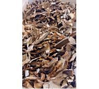 FUNGHI PORCINI SECCHI ESSICCATI AL SOLE DI CALABRIA FATTI IN CASA CASARECCI CHEF