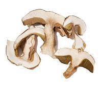 Funghi Porcini secchi Gr. 50