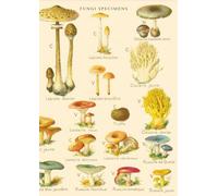 Fungi Specimens: Mushroom Blank Book