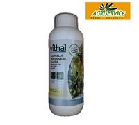 FUNGICIDA PER PIANTE poltiglia rame bordolese fluida biologico Bordoflow 800 ml