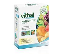 Fungicida rameico Bordoflow PFnPE Vithal