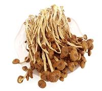 Fungo secco, fungo del tè, agrocybe aegerita (1 bag 500g)