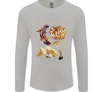 Fungo Specie Mycology Ricerca Uomo Maniche