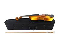 Funien Kit Completo di Violino 4/4 in Ebano Adatto a Principianti e Professionisti in