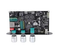 Funien Scheda Amplificatore BT Modulo Amplificatore Mono ABS da 100 W con BT 5.3 Circuito di Accoppiamento Stereo Wireless Vero per Uso di Altoparlanti per Computer TV Audio Fai d