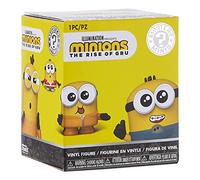Minions 2 The Altezza Di Gru Funko Mystery Mini One Random