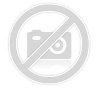 Funko Pop! Pokemon Blaziken 983