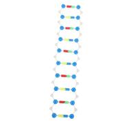FUNNETOYU Dna Doppia Didattico Assemblabile Kit Biologia Educativo con Componenti Interconnessi per Apprendimento Struttura Molecolare e Genetica