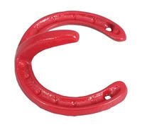 FUNNETOYU Ganci a Ferro di Cavallo in Ghisa Rossa, Ganci da Parete Vintage Industriali Multiuso per Cappotti, Chiavi e Asciugamani, Appendiabiti Decorativi Rustici per Ingresso, Cucina