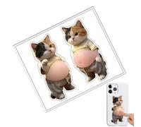 Funny 3D Stickers, Cat Belly Adhesive, 4.52x4.72 Inches Phone Sticker with Cute Design Feature, Scrapbook Decor, 3D Stickers with Sturdy Material, Craft Accessory for Kids and Notebook