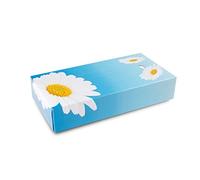 Funny Ag -052 Fazzoletti Veline per Cosmesi, 10 Pacchi da 100 Pezzi, Bianco