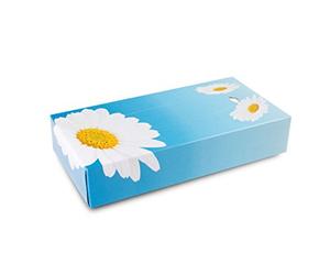 Funny Ag -052 Fazzoletti Veline per Cosmesi, 10 Pacchi da 100 Pezzi, Bianco