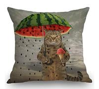 Funny Animal Catthe Cute Cat Is Holding An Umbrella in One Paw And Fruit Ice Cream in Other Federe Copricuscino Personalizzato Decorativi Federa Robusto Copricuscini per Giardino Letti 45X45Cm