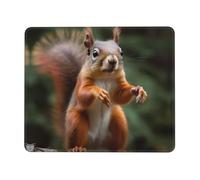 (Funny Animal Squirrel) Tappetino per Mouse Confortevole Tappetini Mouse Bordo Cucito Mousemat per Pc Laptop Lavoro 25X30Cm
