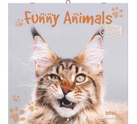 Funny Animals 2026 - Wand-Kalender - Broschüren-Kalender - 30x30 - 30x60 geöffnet: by Lucia Heffernan