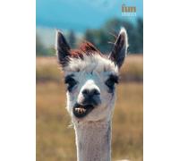 Funny Animals - Alpaca: Motivational and inspirational notebook for animal lovers with positive affirmations; a fun gift for friends, co-workers, bosses and employees