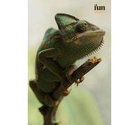 Funny Animals - Chameleon: Motivational and inspirational notebook for animal lovers with positive affirmations; a fun gift for friends, co-workers, bosses and employees