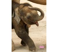 Funny Animals - Elephant: Motivational and inspirational notebook for animal lovers with positive affirmations; a fun gift for friends, co-workers, bosses and employees