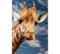 Funny Animals - Giraffe: Motivational and inspirational notebook for animal lovers with positive affirmations; a fun gift for friends, co-workers, bosses and employees