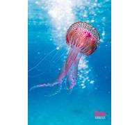 Funny Animals - Jellyfish: Motivational and inspirational notebook for animal lovers with positive affirmations; a fun gift for friends, co-workers, bosses and employees