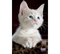 Funny Animals - Kitty: Motivational and inspirational notebook for animal lovers with positive affirmations; a fun gift for friends, co-workers, bosses and employees