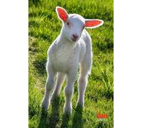 Funny Animals - Lamb: Motivational and inspirational notebook for animal lovers with positive affirmations; a fun gift for friends, co-workers, bosses and employees
