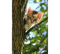 Funny Animals - Little Kitty: Motivational and inspirational notebook for animal lovers with positive affirmations; a fun gift for friends, co-workers, bosses and employees